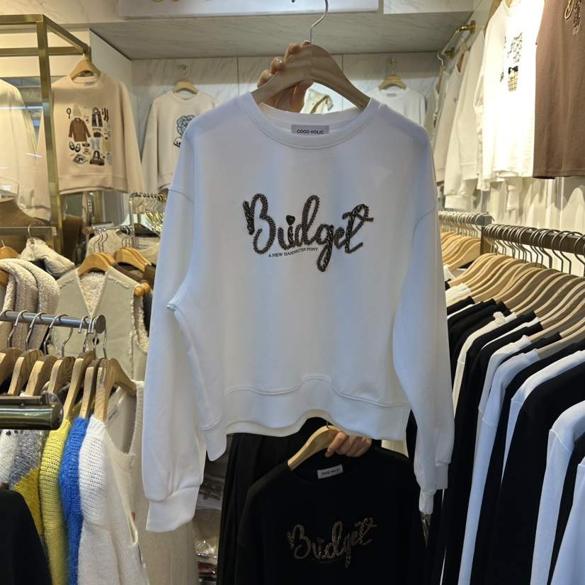 COCO HOLIC東大門㊣直郵女士新品職業25秋冬時尚熱賣推薦衛衣COCO HOLIC衛衣