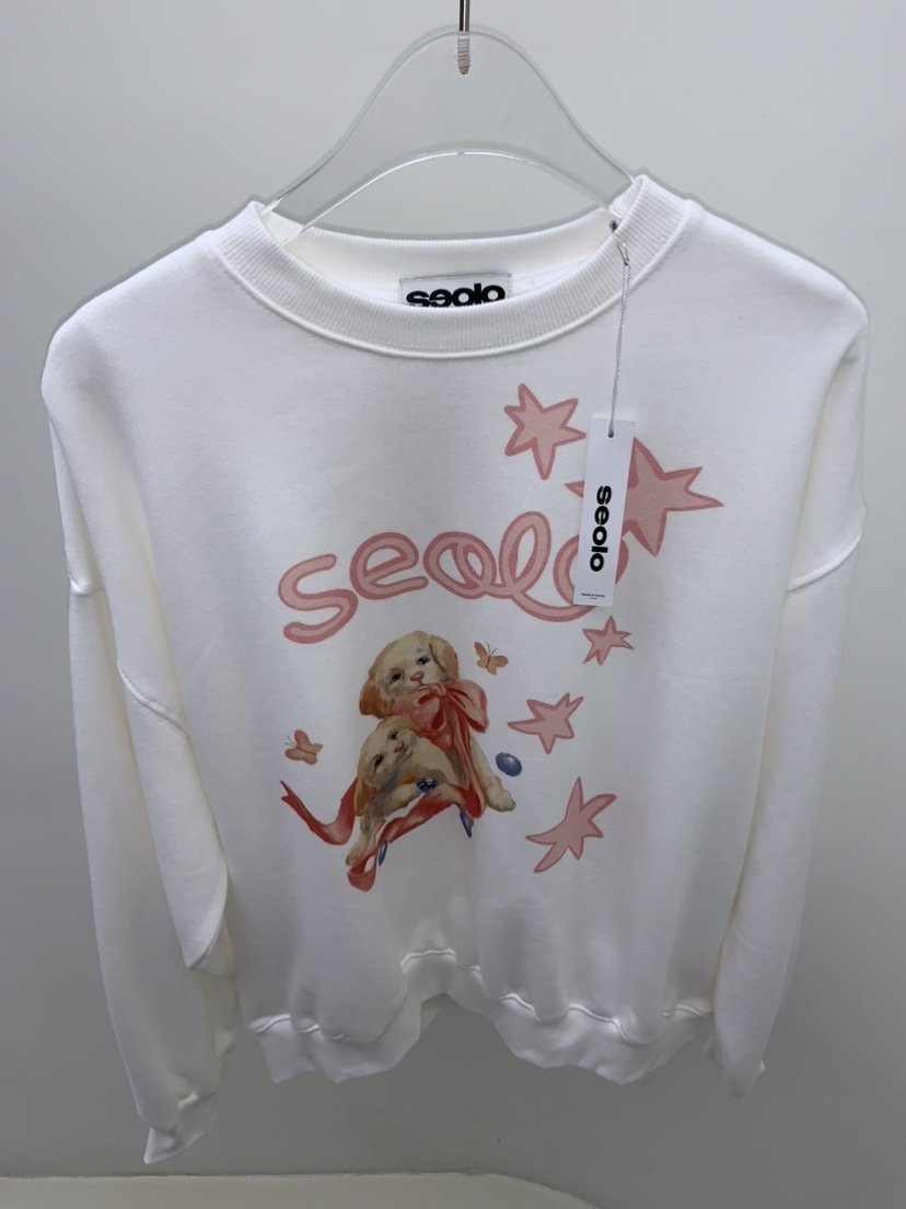 SEOLO東大門㊣實拍女士新款真品職業人氣推薦25秋冬熱賣衛衣Seolo seoul衛衣