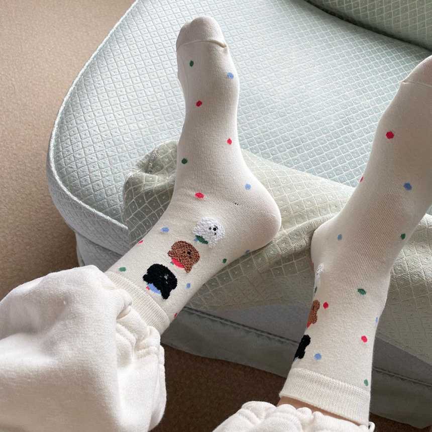 CACTUS-Q韓國代購㊣女士新款時尚職業25秋冬熱賣人氣推薦襪子CACTUS十雙起/可混搭襪子