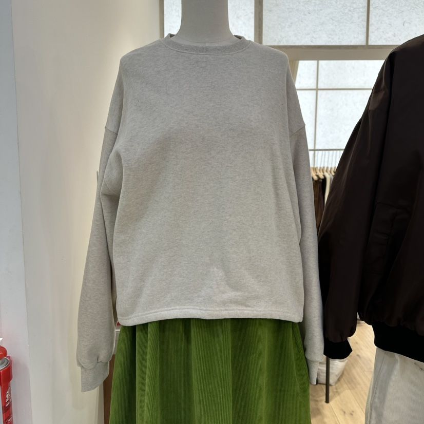 REVE-L韓國直郵㊣女士新品熱賣25秋冬休閑推薦職業衛衣加絨REVE-L衛衣