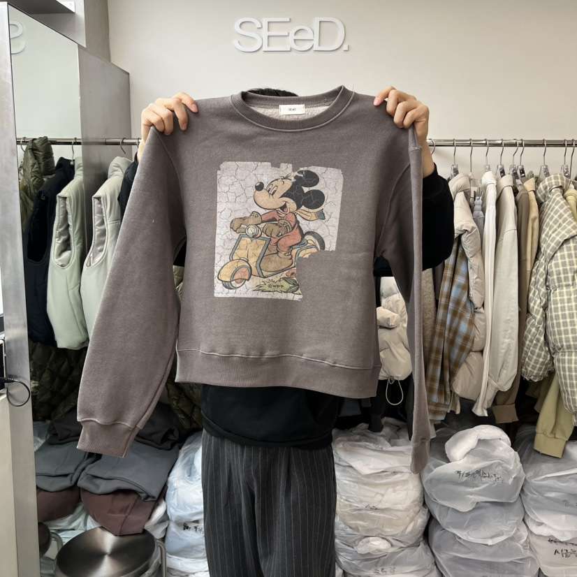 LEESEED-A韓國代購㊣女裝新款時尚熱賣25秋冬推薦衛衣加絨SEeD/LEESEED衛衣