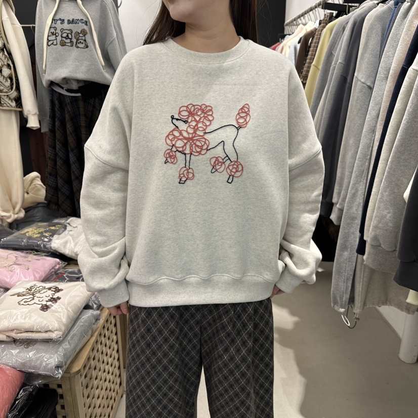 A.CES韓國直郵㊣女裝新品職業25秋冬推薦時尚熱賣衛衣加絨A.CES衛衣