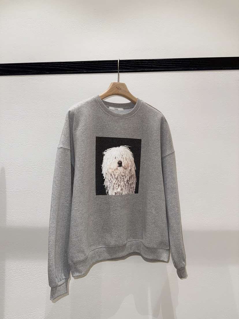 NDE東大門㊣直郵女士新款職業熱賣時尚25秋冬休閑推薦真品衛衣NDE衛衣