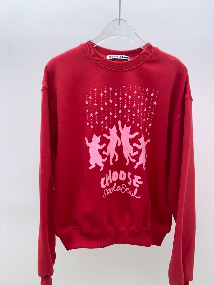 SEOLO韓國直郵㊣女裝新款25秋冬職業人氣熱賣推薦休閑時尚衛衣Seolo seoul衛衣