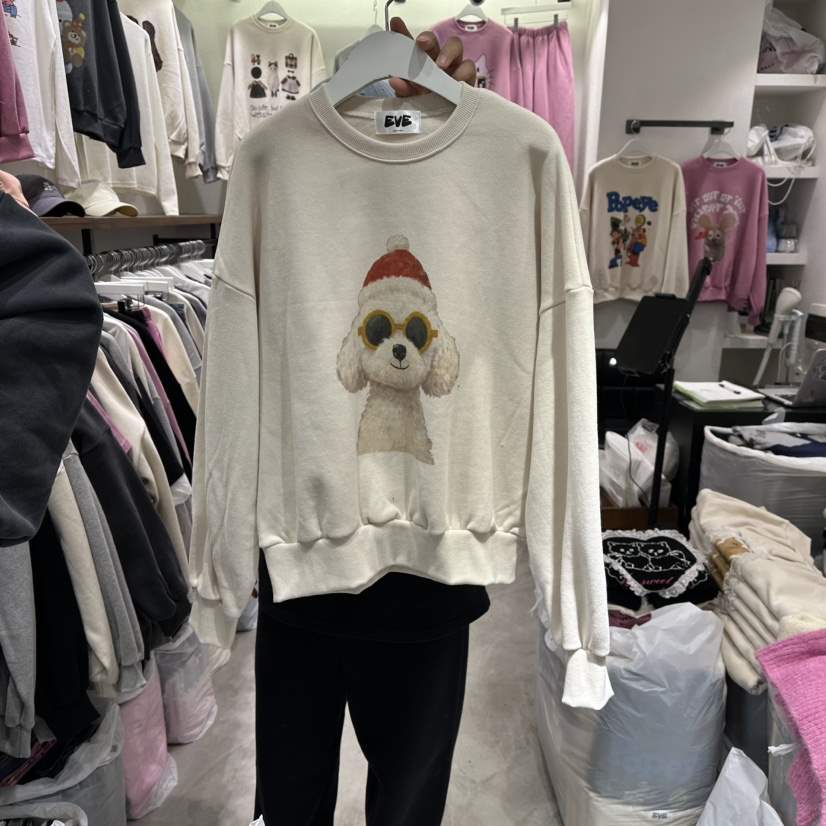 EVE東大門㊣代購女裝新款25秋冬職業休閑推薦人氣熱賣衛衣加絨EVE衛衣