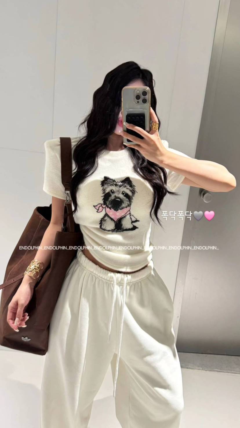 ENDOLPHIN東大門㊣實拍女士新品時尚真品職業推薦熱賣人氣T恤ENDOLPHINT恤