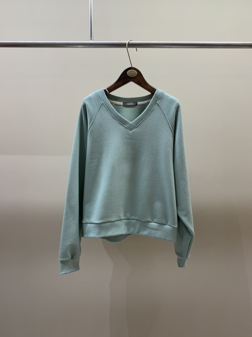 CAMEL-P東大門直郵女裝新款推薦衛衣V領Came_l 家衛衣