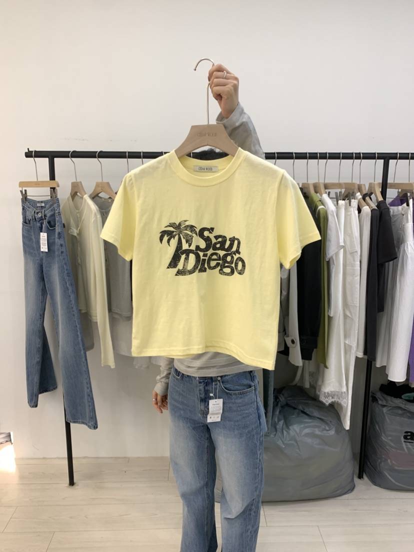 CEDARWOOD韓國東大門直郵女裝新款休閑職業推薦人氣熱賣T恤CEDAR WOODT恤