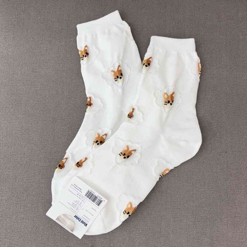 CACTUS-Q韓國直郵實拍女裝新款熱賣職業人氣推薦休閑襪子CACTUS十雙起/可混搭襪子