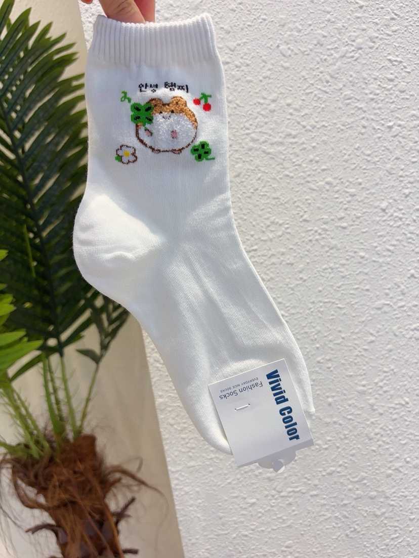 CACTUS-Q韓國直郵實拍女裝新款26春夏人氣時尚熱賣休閑襪子CACTUS十雙起/可混搭襪子