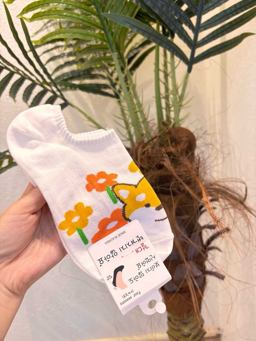 CACTUS-Q韓國代購女裝新款熱賣休閑職業時尚26春夏推薦襪子CACTUS十雙起/可混搭襪子