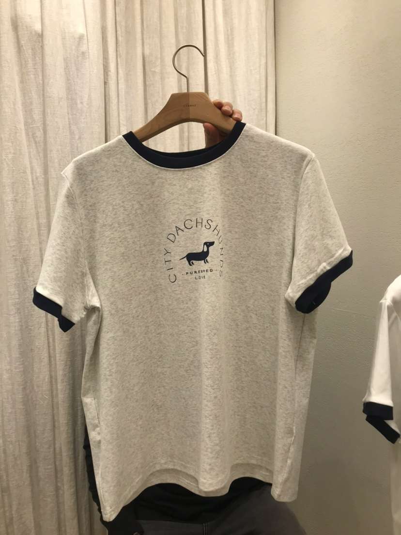 AHOY韓國東大門直郵女士新款時尚推薦26春夏人氣休閑職業T恤AHOYT恤