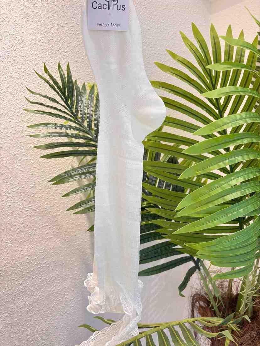 CACTUS-Q韓國直郵女裝新款推薦26春夏人氣時尚襪子蕾絲綁帶CACTUS十雙起/可混搭襪子
