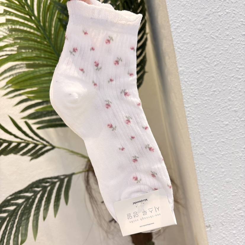 CACTUS-Q韓國東大門直郵女士新款熱賣推薦時尚職業26春夏襪子CACTUS十雙起/可混搭襪子