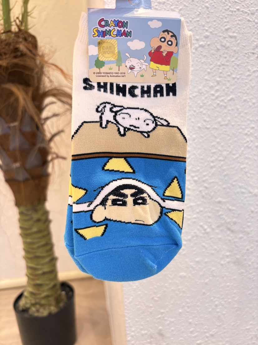 CACTUS-Q韓國代購女裝新款時尚26春夏推薦休閑人氣熱賣襪子CACTUS十雙起/可混搭襪子