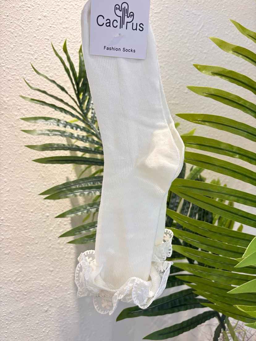 CACTUS-Q韓國直郵實拍女裝新款職業26春夏推薦熱賣襪子蕾絲CACTUS十雙起/可混搭襪子