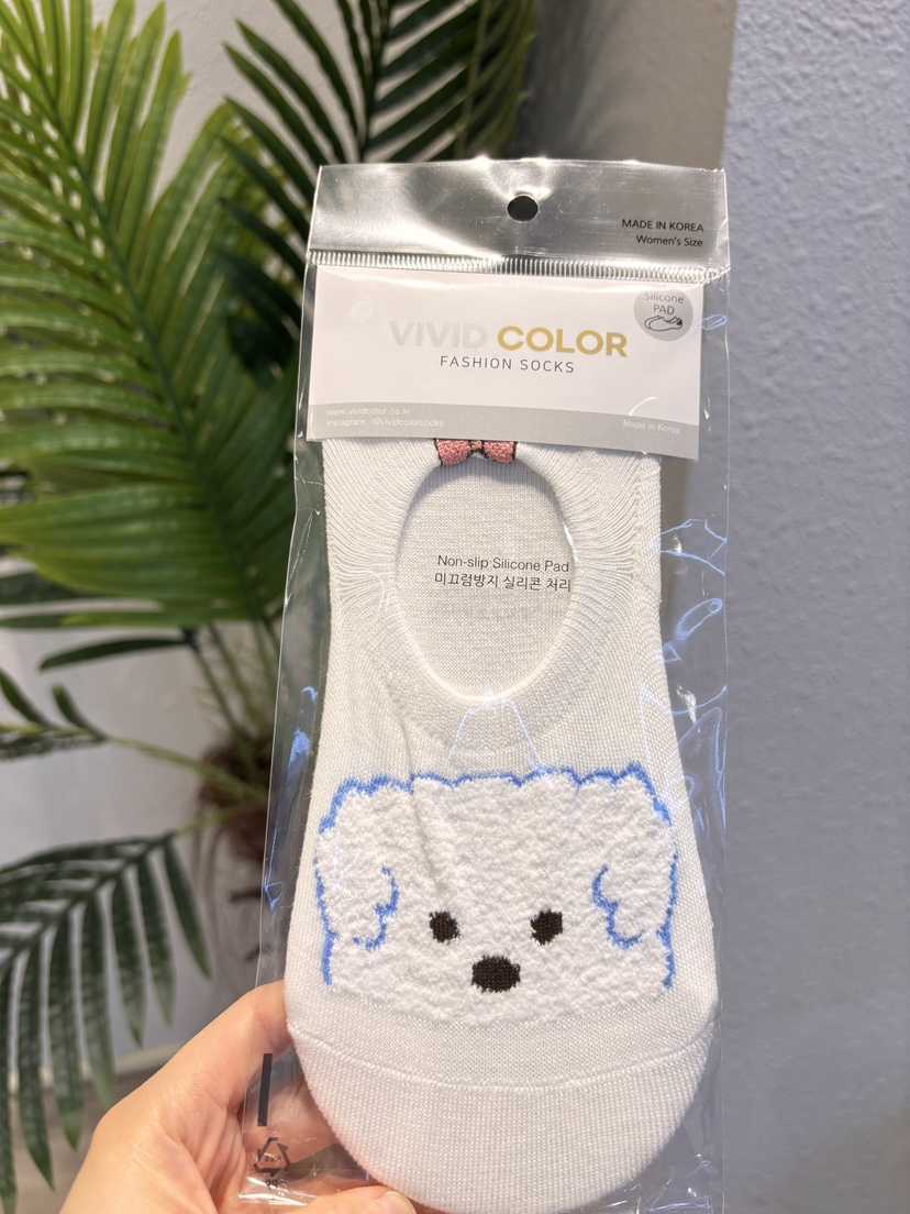 CACTUS-Q韓國東大門代購女士新款休閑推薦時尚人氣26春夏襪子CACTUS十雙起/可混搭襪子