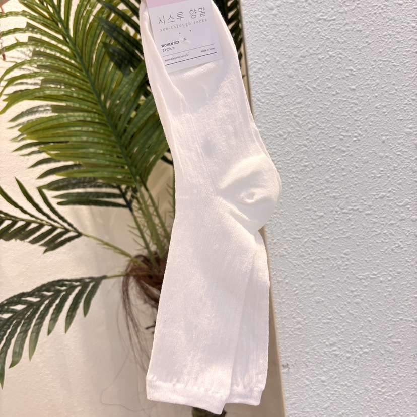 CACTUS-Q韓國代購女士新品職業推薦真品人氣熱賣休閑襪子CACTUS十雙起/可混搭襪子