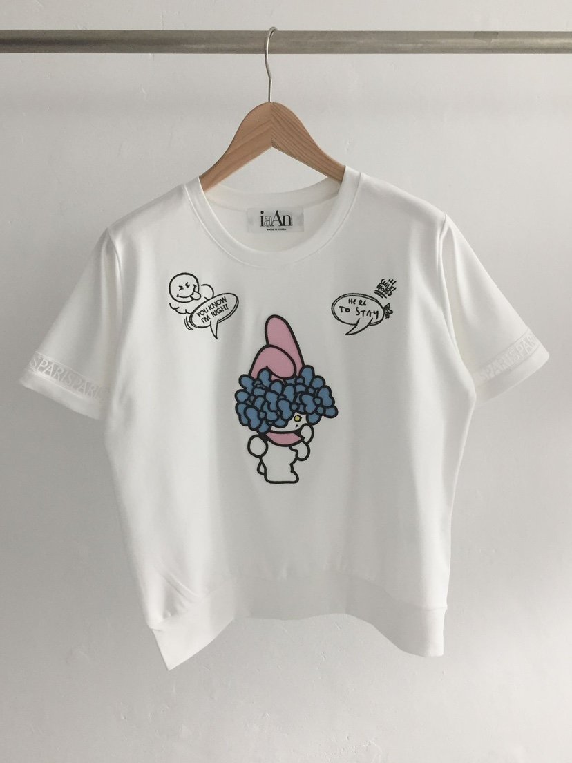 IAAN韓國直郵女士新品職業熱賣時尚人氣26春夏休閑T恤兔子iaAnT恤
