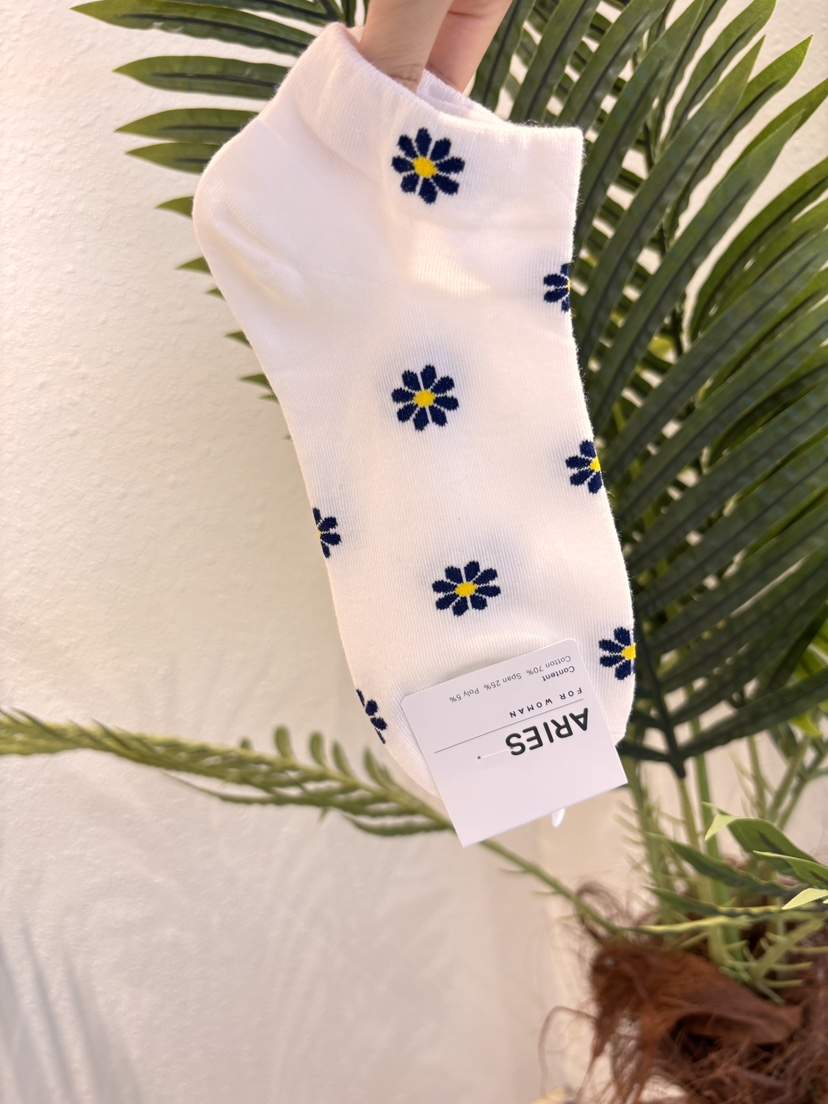 CACTUS-Q韓國代購女士新款時尚熱賣職業真品26春夏人氣襪子CACTUS十雙起/可混搭襪子