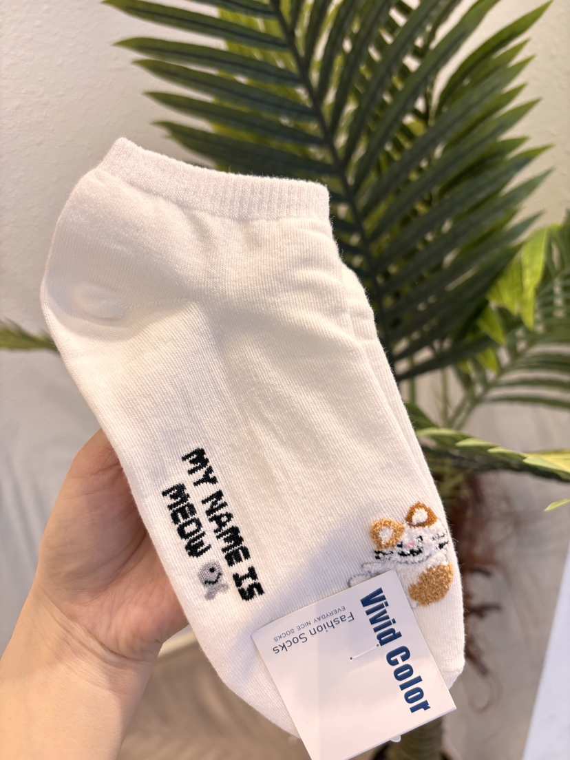 CACTUS-Q東大門代購女裝新品職業熱賣休閑真品時尚推薦襪子CACTUS十雙起/可混搭襪子