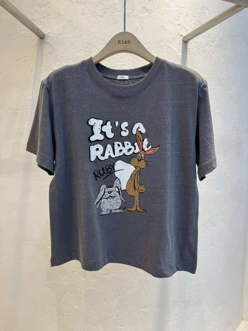 RIAH韓國直郵實拍女士新品時尚熱賣26春夏休閑職業人氣T恤RIAHT恤