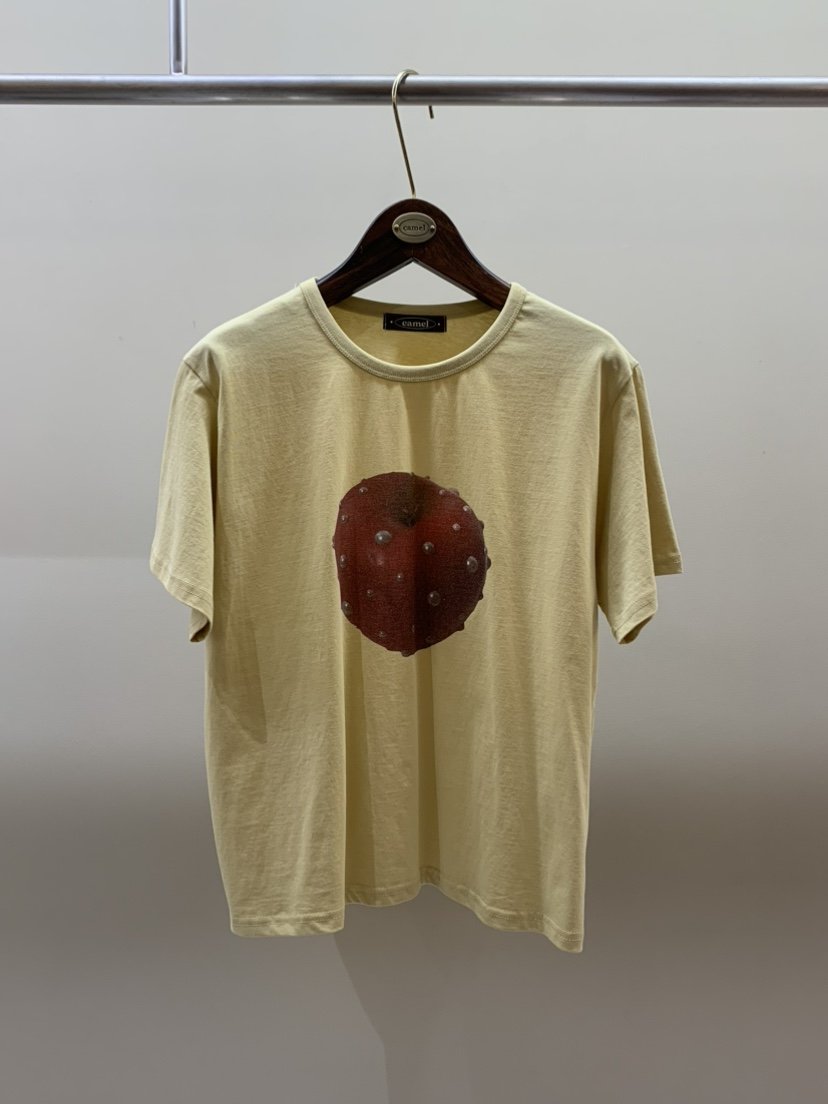 CAMEL-P韓國東大門直郵女士新款人氣T恤Came_l 家T恤
