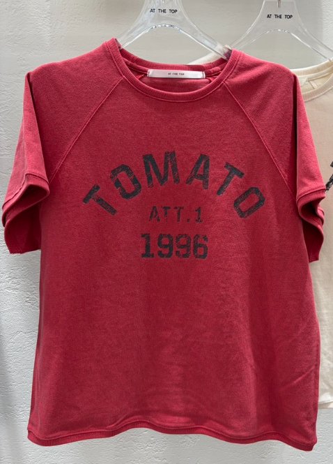 AT THE TOP韓國直郵女裝新款推薦職業26春夏26夏季人氣T恤AT THE TOPT恤