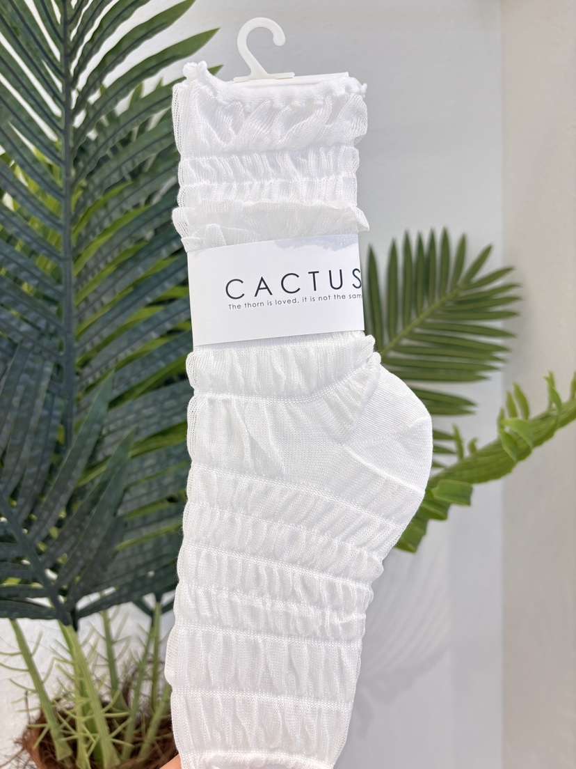 CACTUS-Q韓國直郵女士新品時尚休閑26春夏26夏季熱賣襪子SCACTUS十雙起/可混搭襪子