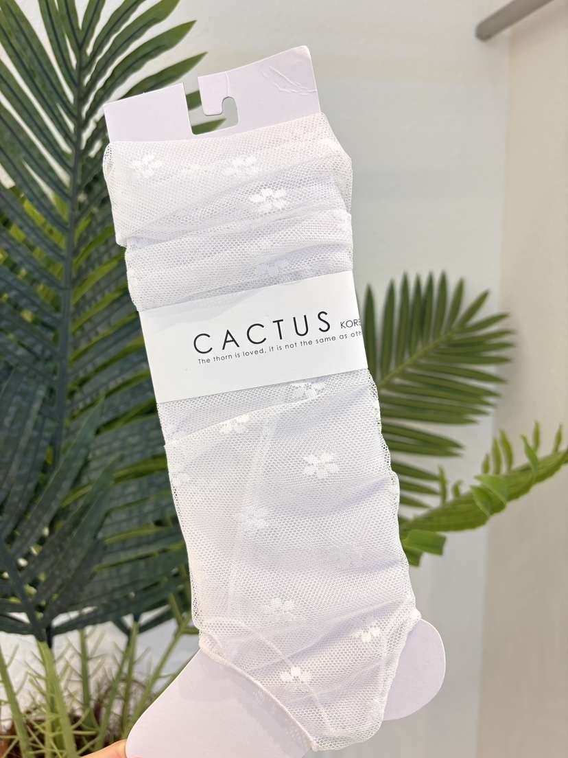 CACTUS-Q韓國代購女士新款休閑時尚人氣26夏季襪子小花蕾絲SCACTUS十雙起/可混搭襪子