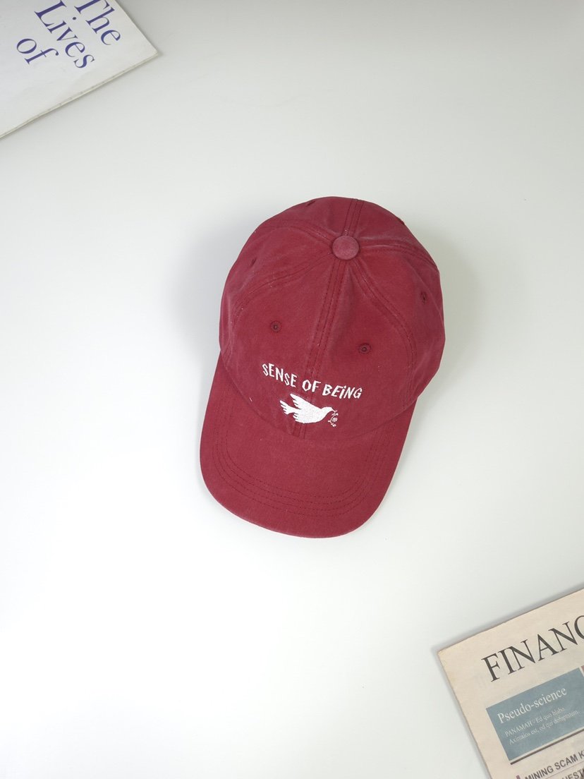 THE HAT-P東大門實拍女裝新款時尚真品熱賣推薦休閑帽子THE HAT帽子