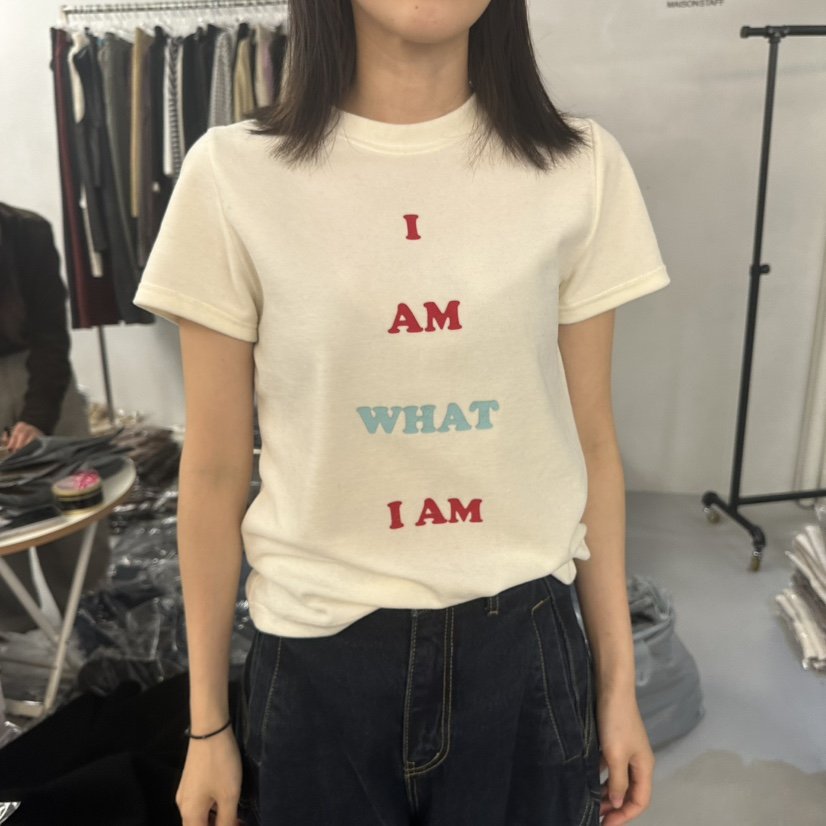 DOUBLE STANDARD/LE SMOKING/MAISONSTAFF韓國直郵女士新款人氣T恤天鵝絨字母MAISONSTAFFT恤